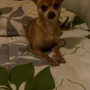 Meet your Posher, Ali